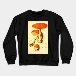 Amanita caesarea - Dufour, L. Crewneck Sweatshirt